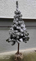 14 Novogodišnja stabla jelke